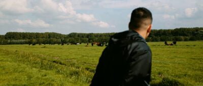 fillingpieces_683_v3_final.00_02_50_10.still004