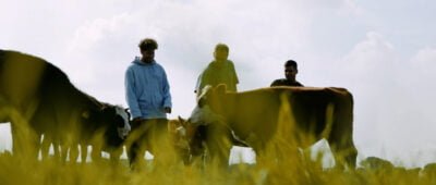 fillingpieces_683_v3_final.00_03_29_16.still006