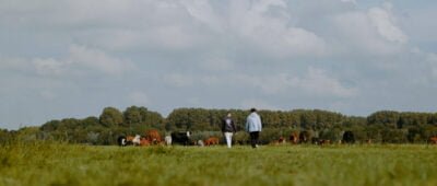 fillingpieces_683_v3_final.00_06_31_11.still009